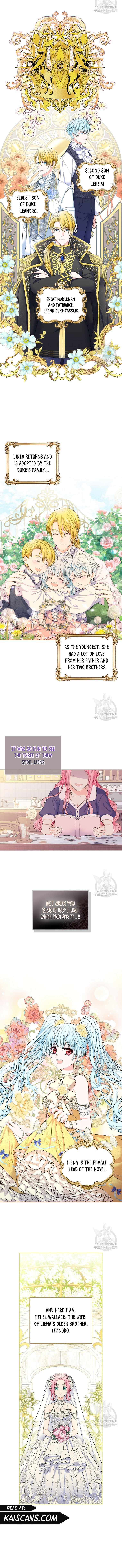 I Will Divorce the Female Lead's Siscon Brother Chapter 1 7